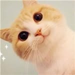 Corrine Miller - @corrinemiller980401 - Instagram