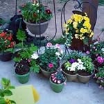Corrina Davis Settlage - @mamacas63 - Instagram