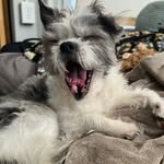 corrine abbott - @corrineabbott - Instagram