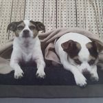 Corrine Farmer - @corrine2976 - Instagram