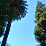Helena - @helena_corrine_murphy - Instagram