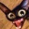 👹iM UndEr yOuR BeD👹 - @corrineschultz3 - TikTok