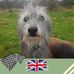 Corrine Wilkinson - Facebook