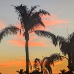 Corrine Wilson - @adventure.travel.ylw - Instagram