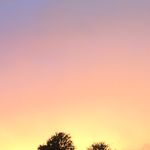 Corrine Woods - @ctography.xoxo - Instagram