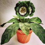Corinne Young - @corinneyoungtextiles - Instagram