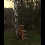 corryjefferson - @corryjefferson7 - Instagram