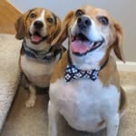 Corry Johnson - @dovahkiin496 - Instagram