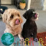 Corry King - @luvinmysoul - Instagram