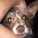 Cory Mcspadden - @cory_pumkin - Instagram