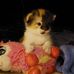 Corry Mitchell - Facebook