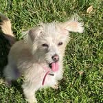 Jhaven Lee Corry Strong - @babyjhaven - Instagram