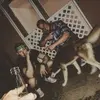 Cort Erickson - @ericksoncort56 - TikTok