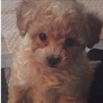 Bailey.cortez🐶 - @bailey.cortez - Instagram