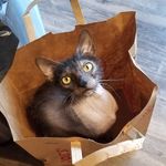 Cortez the Killer Hunter - @cortez.the_killer - Instagram