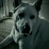 Courtney Brooks - @unicorn3688 - TikTok
