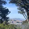 Courtney Grant752 - @courtneygrant57 - TikTok