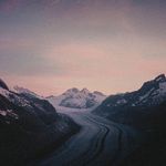 Courtney Hamel - @courtney_haqmel - Instagram