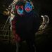 Courtney Kessler - Facebook