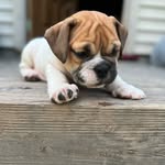 Cortney Leigh - @queenofthecoffeemug - Instagram
