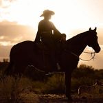 Cortney Morris - @cncquarterhorses - Instagram