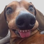 Nathan Cartee - @cortney.pace88 - Instagram
