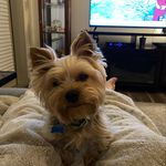 Courtney R Patrick - @courtney_patrick_12 - Instagram