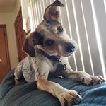 Courtney Pugh - @pugh.courtney - Instagram