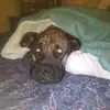 Courtney Richards - @courtney.richards53 - TikTok