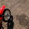 Cortney rose - @user2207406001826 - TikTok