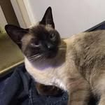 Corwin Alexander Sherman - @corwinalexandersherman - Instagram