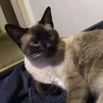 Corwin.AlexanderSherman - @corwin.alexandersherman - Instagram