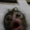 Corwin Baker - @im.bored.4201 - TikTok
