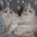 Karen Baker - Facebook