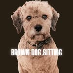 Corinne + the Brown Boys - @brown.dog.sitting - Instagram