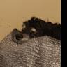 Corwin Davis - @corwindavis3850 - TikTok