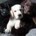 Corwin Edwards - Facebook