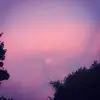 corwinjohnson12 - @carbon_based.zearth - TikTok