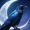 Corwin - @corwinxrp - TikTok