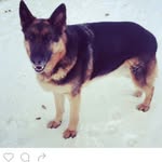 Corwin Nelson - @corwin.nelson.3 - Instagram