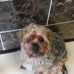 Karen Poppleton - Facebook
