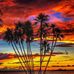Karen Shorter - Facebook
