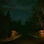 Cory Abrahamson - @coryabrahamson - Instagram