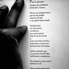 Susi Aleman741 - @coryaleman3 - TikTok