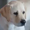 portemart - @cory.archie - TikTok