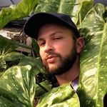 Cory Arnold - @theplantygay - Instagram