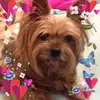 Cory Arnold - @2155628833 - TikTok