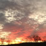 Corey Bauer - @corey__bauer - Instagram
