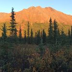 Cory Benson - @akepicadvture - Instagram