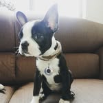 Cory - @cory.boston - Instagram